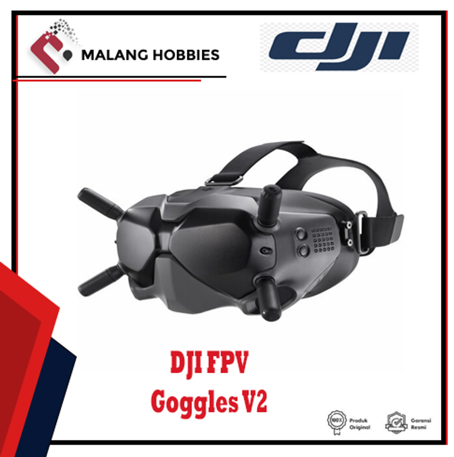 DJI FPV Goggles V2